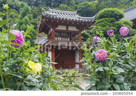 Ryugaji Temple (Okadera) Romon Gate Season of fresh greenery -- Oka, Asuka Village, Takaichi District, Nara Prefecture -- 103605054
