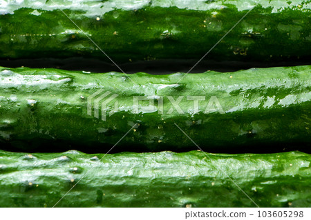 A close-up of the classic summer vegetable, cucumber. 103605298