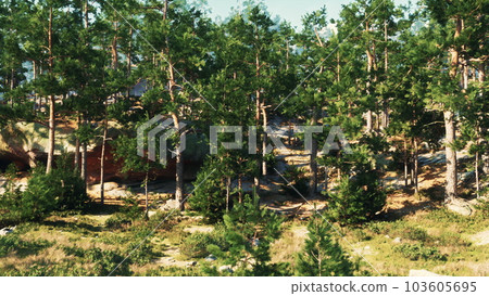 Rocky cliffs provide a home for a coniferous forest, exposed to the winds Rocky cliffs provide a home for a coniferous forest, exposed to the winds 103605695