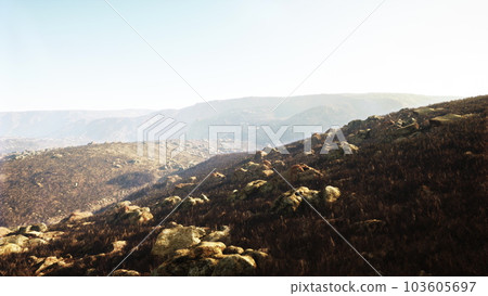 breathtaking image of a foggy rocky landscape with some grass 103605697