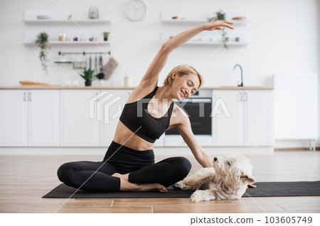Lady stretching in Parsva Sukhasana to reach dog on floor Lady stretching in Parsva Sukhasana to reach dog on floor 103605749