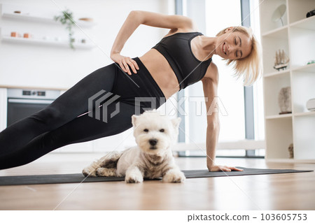 Westie suiting for yoga workout with lady in Vasisthasana Westie suiting for yoga workout with lady in Vasisthasana 103605753