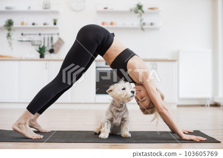 Female snuggling to dog in Adho Mukha Svanasana pose at home 103605769