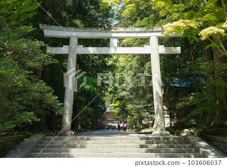 越後國 一宮彌彥神社隨神門（新潟縣西蒲原郡彌彥村） 103606037