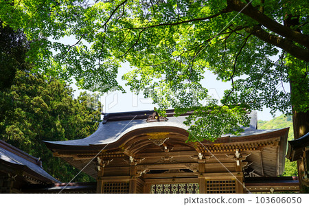 越後國 一宮彌彥神社隨神門（新潟縣西蒲原郡彌彥村） 103606050