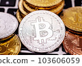 Bitcoin in the Digital Age: Currency and Technology 103606059
