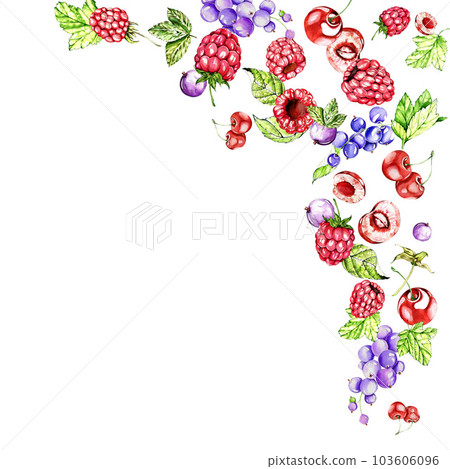 juicy black currant, jam. watercolor illustration of the berry collection. for design and postcards, invitations, posters, menus. 103606096