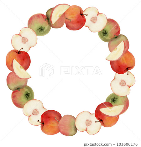 Hand drawn watercolor apple ripe fruits, full and slices, red and green. Circle round wreath Isolated on white background. Design for wall art, wedding, print, fabric, cover, card, invitation. Hand drawn watercolor apple ripe fruits, full and slices, red and green. Circle round wreath Isolated on white background. Design for wall art, wedding, print, fabric, cover, card, invitation. 103606176