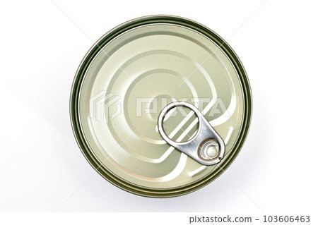 Unopened Tin Can with Blank Edge on White Background 103606463
