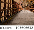 Bridge in Nikko 103606632