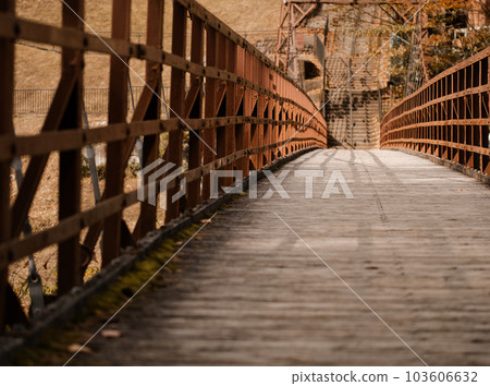 Bridge in Nikko 103606632