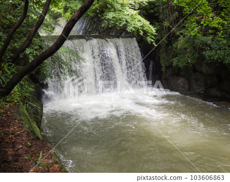 Fresh green of Kakarigafuchi Falls with a lot of water after the rain Fresh green of Kakarigafuchi Falls with a lot of water after the rain 103606863
