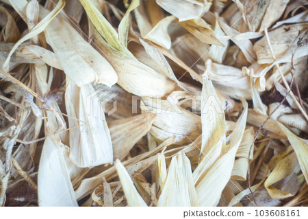 Dried corn husks, soft focus Dried corn husks, soft focus 103608161