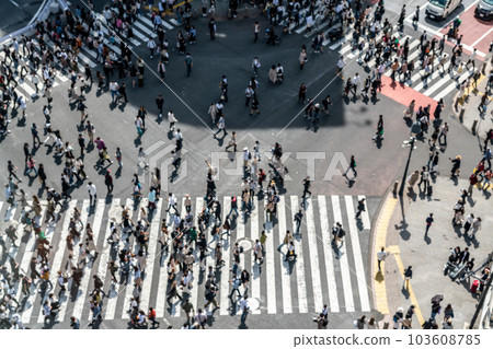 [Tokyo] Crowded Shibuya Scramble Crossing 103608785