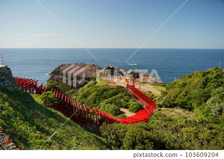 [Yamaguchi] Motonosumi Shrine 103609204