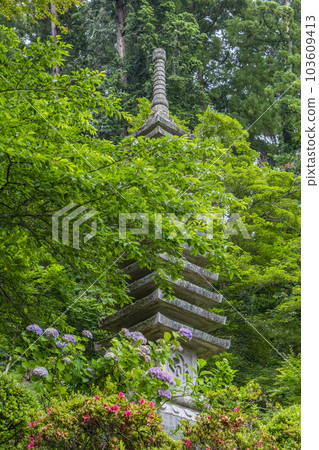 龍河寺（岡寺） 十三層石塔和杜鵑花 新綠的季節 --奈良縣高市郡飛鳥村岡-- 103609413