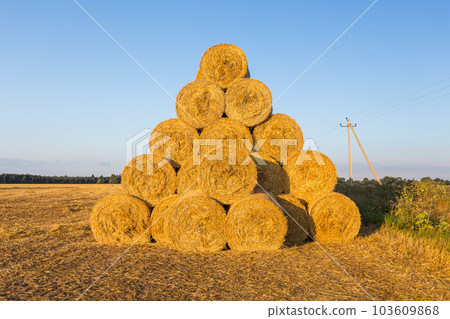 Piled hay bales on a field against blue sky Piled hay bales on a field against blue sky 103609868