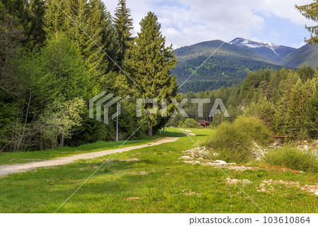 Spring scene with ski road in Bansko, Bulgaria 103610864