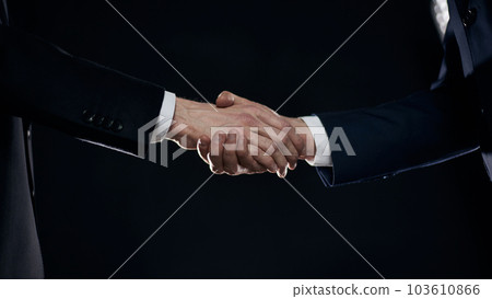 Close-up image of handshake between two colleagues. 103610866