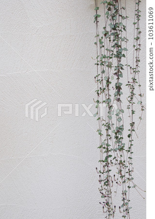 Heart Kazura 103611069