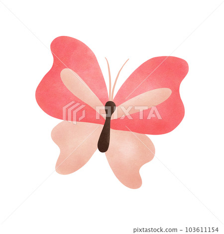 Insect 103611154