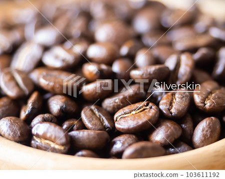 brown arabica coffee bean roast level medium to dark taste silverskin, silver skin seed caffeine espresso drink food cafe beverage Chiang Rai, Thailand coffee wooden table background selected focus 103611192