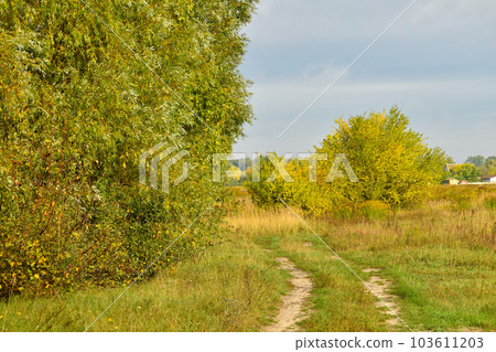 Autumn landscape. The road along the edge of the forest. Autumn landscape. The road along the edge of the forest. 103611203