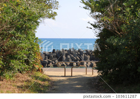 通往大海的路 103611287