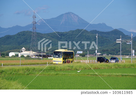 黃色廣域救生車行駛在農村縣道上的場景 103611985