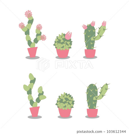 Succulents in pots blooming and without flowering 103612344