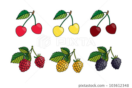 set of sweet cherry, raspberry, blackberry 103612348