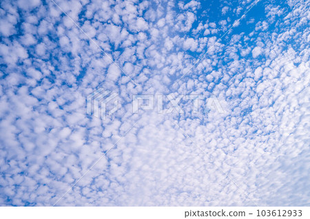 遍布各地的捲積雲 103612933