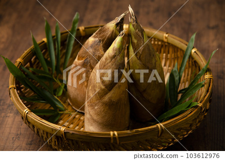 竹筍 竹筍 103612976