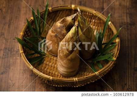 竹筍 竹筍 103612978