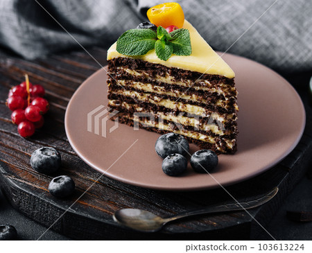 chocolate vanilla cake with berries on plate chocolate vanilla cake with berries on plate 103613224