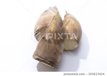 竹筍白背 竹筍白背 103613424