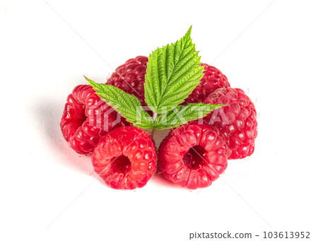 Raspberry isolated. Raspberries with leaf isolate. Raspberry with leaf isolated on white 103613952