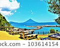 Kaimondake 103614154