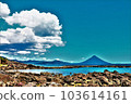 Kaimondake 103614161