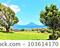 Kaimondake 103614170