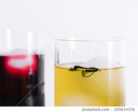 Refreshing orange and cherry summer drinks 103614359