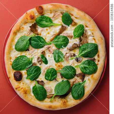 Hot mushroom pizza with basil on red plate 103614486