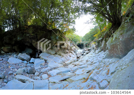 Beautiful scenery of Bangseonmun Valley, a famous tourist attraction in Jeju Island. 103614564