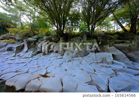 Beautiful scenery of Bangseonmun Valley, a famous tourist attraction in Jeju Island. 103614566