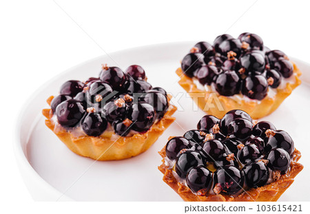 tart currant dessert on white plate tart currant dessert on white plate 103615421