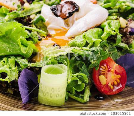 Vegetable salad with poached egg on a plate 103615561