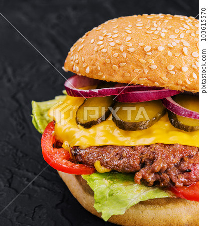 Fresh tasty burger on black background 103615570