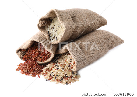 Brown and polished rice in bags isolated on white 103615909