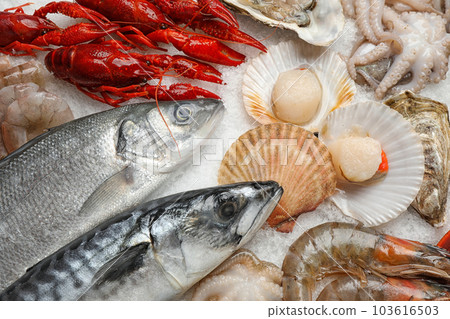 Fresh fish and seafood on ice, closeup 103616503