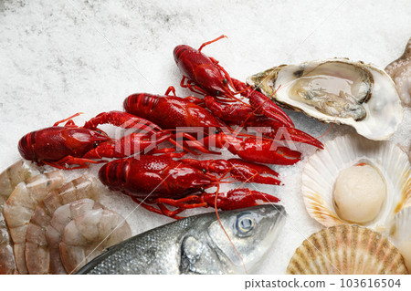 Fresh fish and seafood on ice, flat lay 103616504